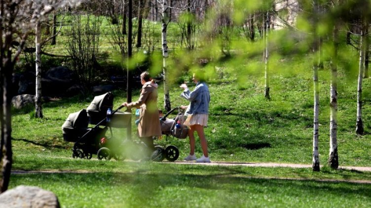 Снимка: БГНЕС