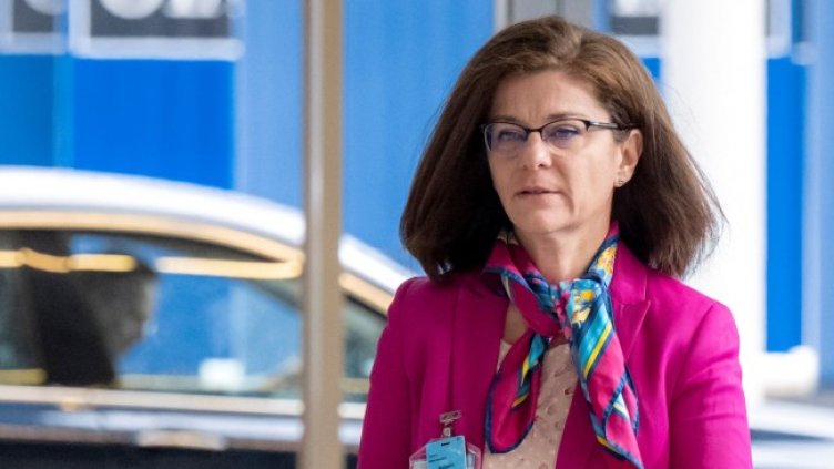 Снимка: архив, БГНЕС