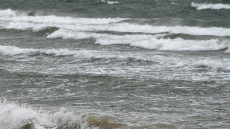 Снимка: архив, БГНЕС