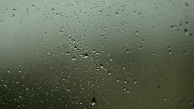 Снимка: архив, БГНЕС