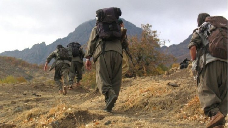 Снимка: архив, БГНЕС