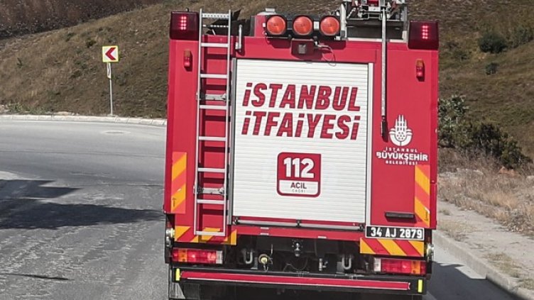 Снимка: архив, БГНЕС