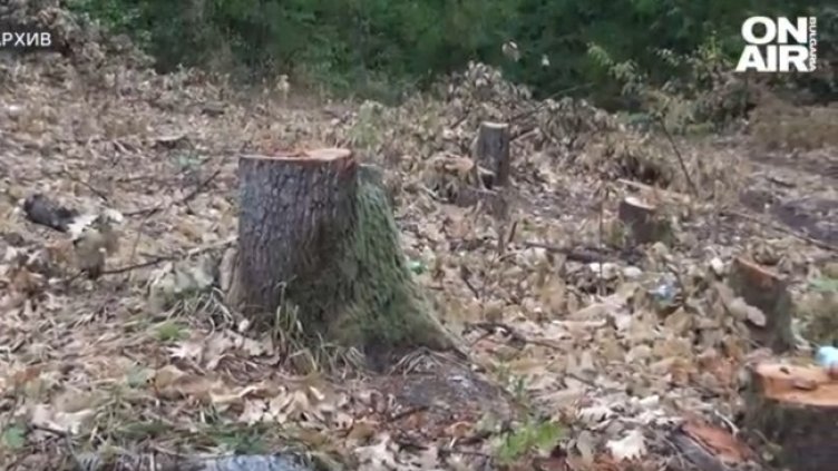 Снимка: Bulgaria ON AIR