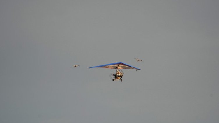 Снимка: БГНЕС/EPA