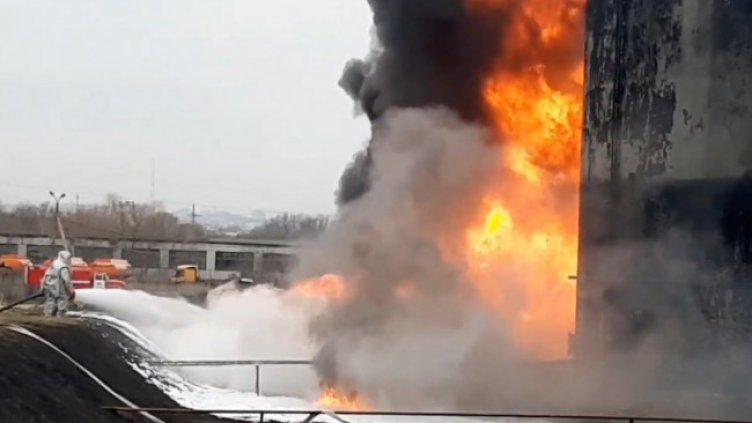 Снимка: архив, БГНЕС