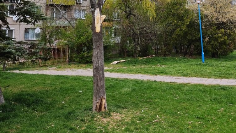 Снимка: Helpbook