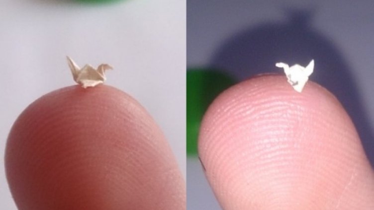 Снимка: Личен архив