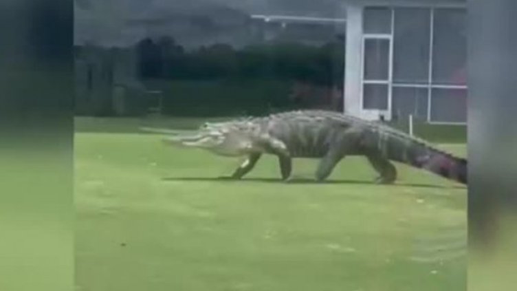 Снимка: Bulgaria ON AIR