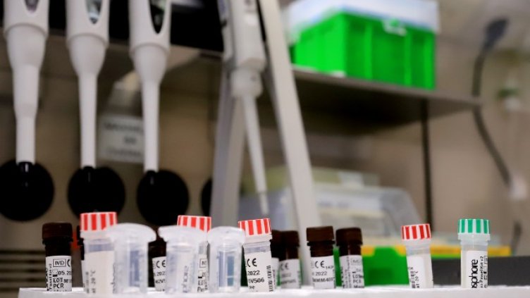 Снимка: БГНЕС