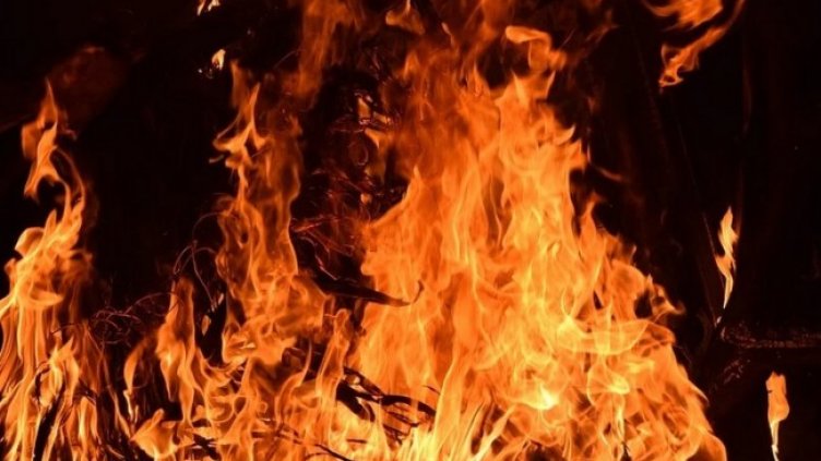 Снимка: Pixabay