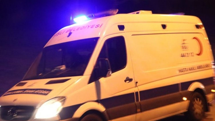 Снимка: архив, БГНЕС