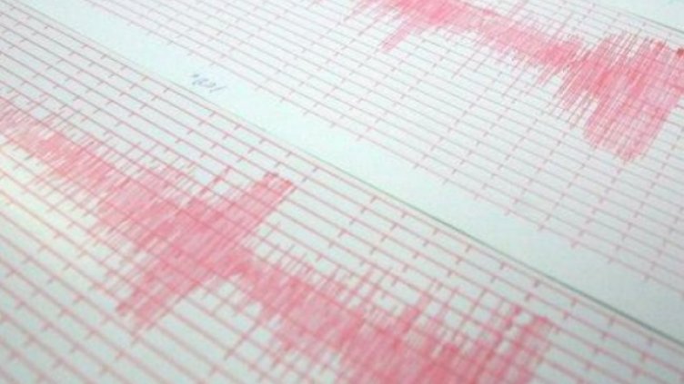 Снимка: архив, БГНЕС