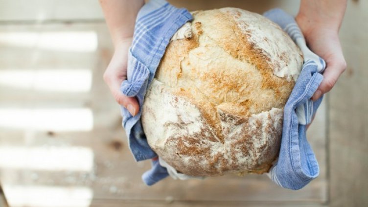 Снимка: Pixabay