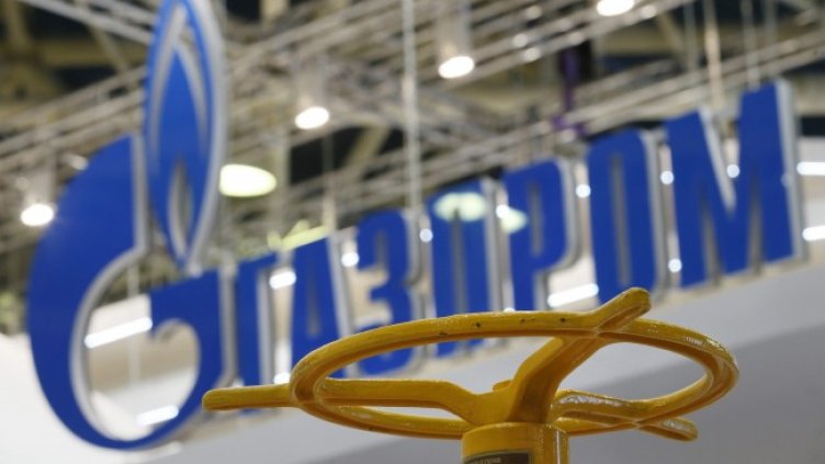 Снимка: архив, БГНЕС