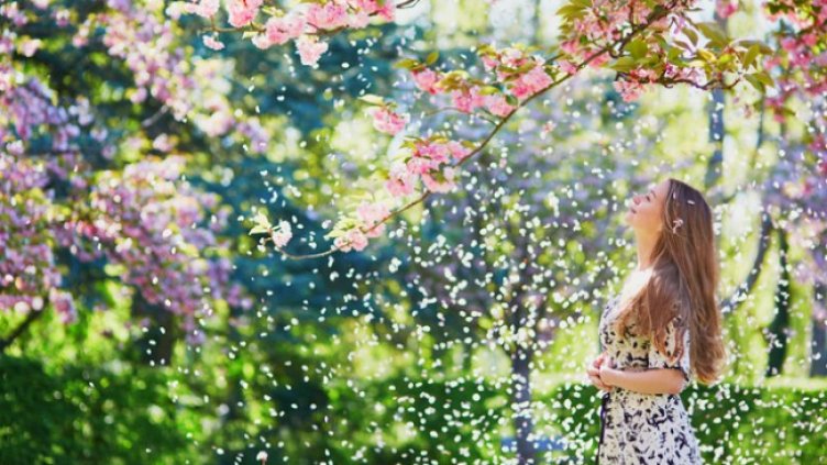 Снимка: Istock