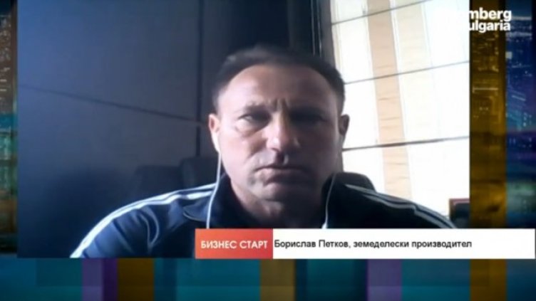 Засетите площи слънчоглед ще са по-големи тази година