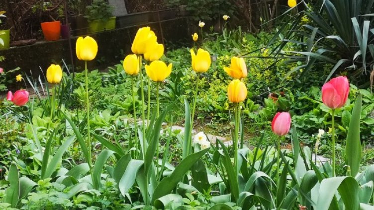 Снимка: архив, БГНЕС