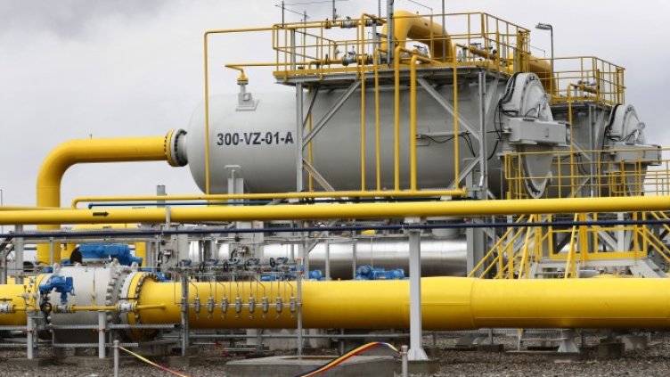 Снимка: архив, БГНЕС