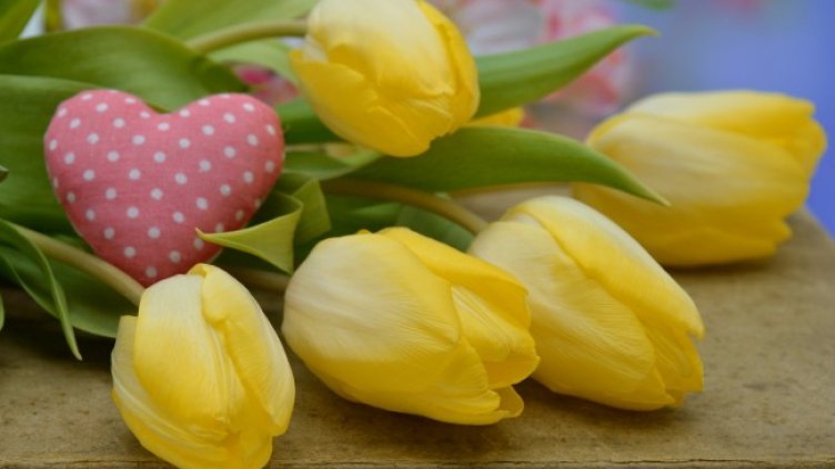 Снимка: Pixabay/neelam279