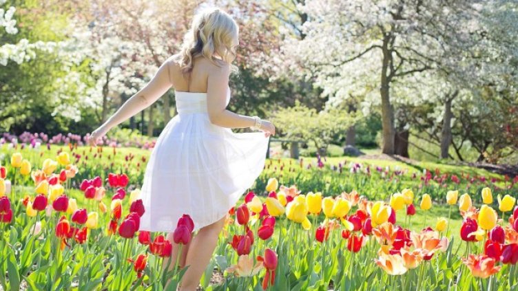 Снимка: Pixabay/JillWellington