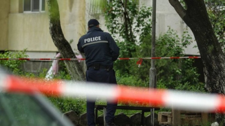 Снимка: Димитър Кьосемарлиев / Dnes.bg