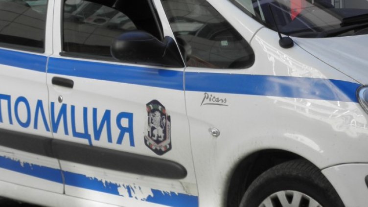 Снимка: архив, БГНЕС