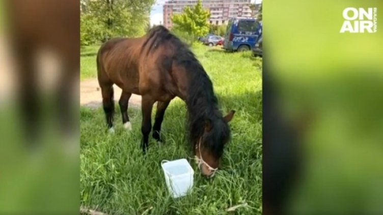 Снимка: Bulgaria ON AIR