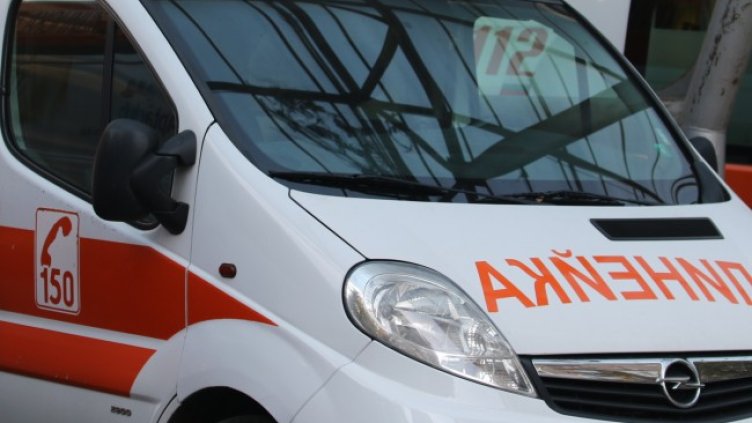 Снимка: архив, БГНЕС