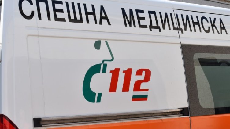 Снимка: архив, БГНЕС