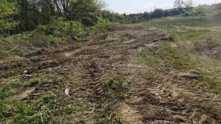 Снимка: Да запазим Корал