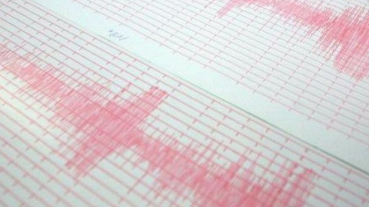 Снимка: архив, БГНЕС