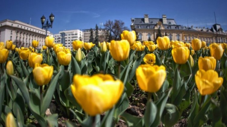 Снимка: Димитър Кьосемарлиев, Dnes.bg