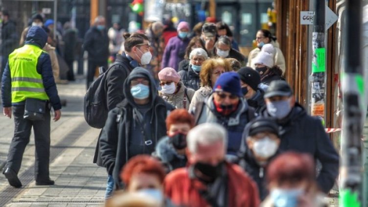 Снимка: Димитър Кьосемарлиев, Dnes.bg