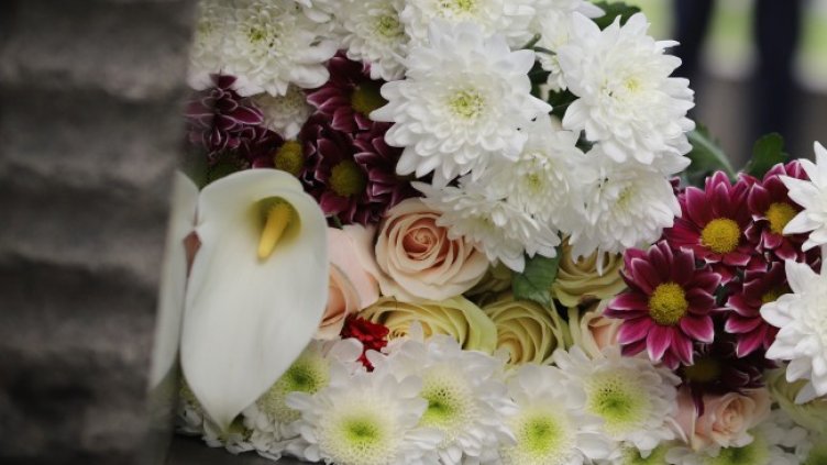 Снимка: БГНЕС, архив