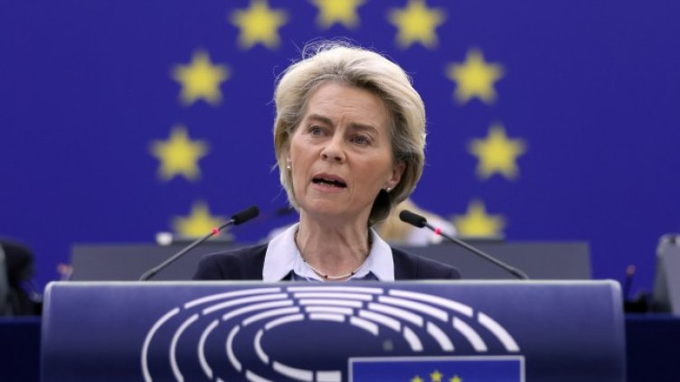 Снимка: архив, БГНЕС