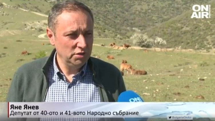 Снимка: Bulgaria ON AIR