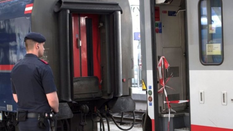 Снимка: архив, БГНЕС