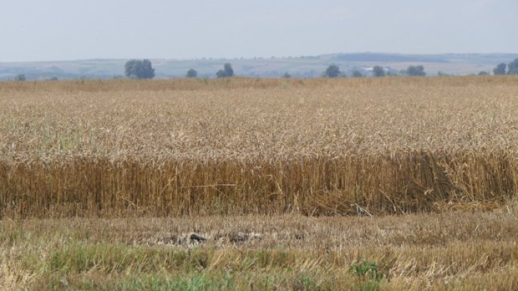 Снимка: Bloomberg TV Bulgaria