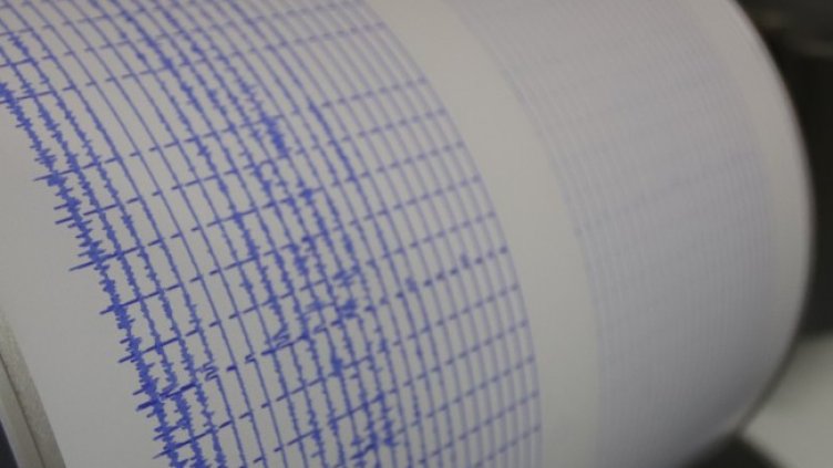 Снимка: архив, БГНЕС