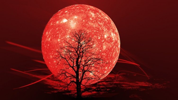 Снимка: Pixabay/2500529