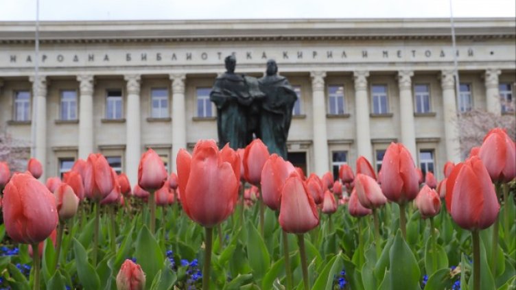 Снимка: БГНЕС