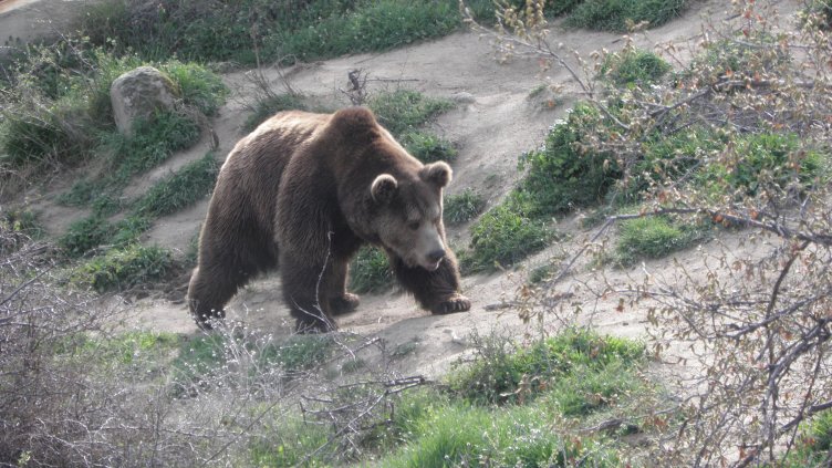 Снимка: архив, БГНЕС