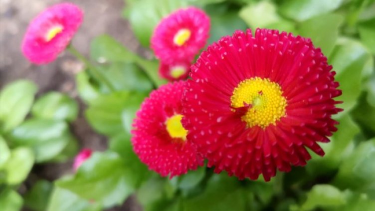 Снимка: архив, БГНЕС