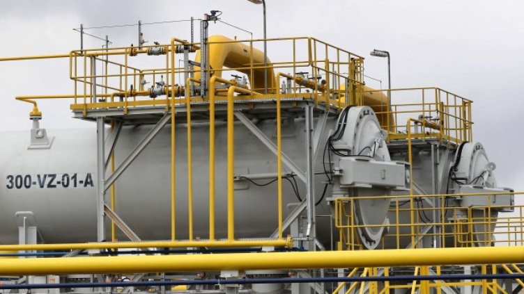 Снимка: архив, БГНЕС