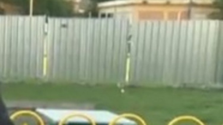 Снимка: Кадър, БНТ