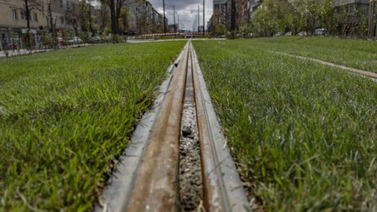 Снимка: Димитър Кьосемарлиев, Dnes.bg