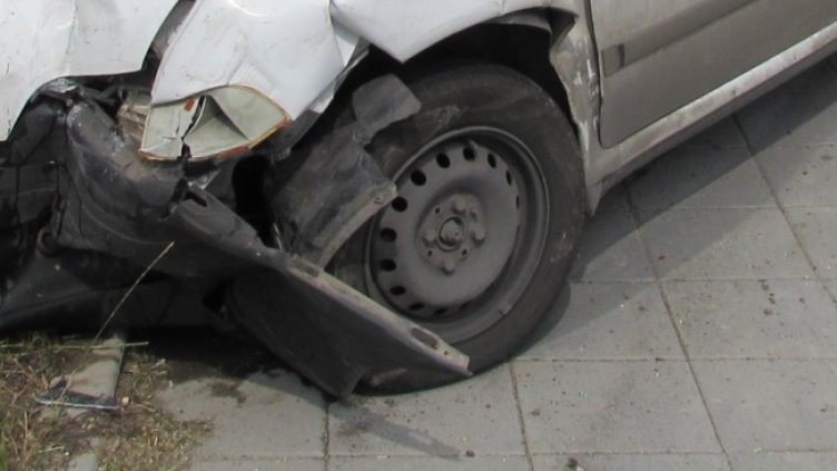 Снимка: БГНЕС, архив