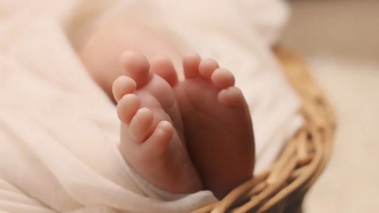 Снимка: Pixabay