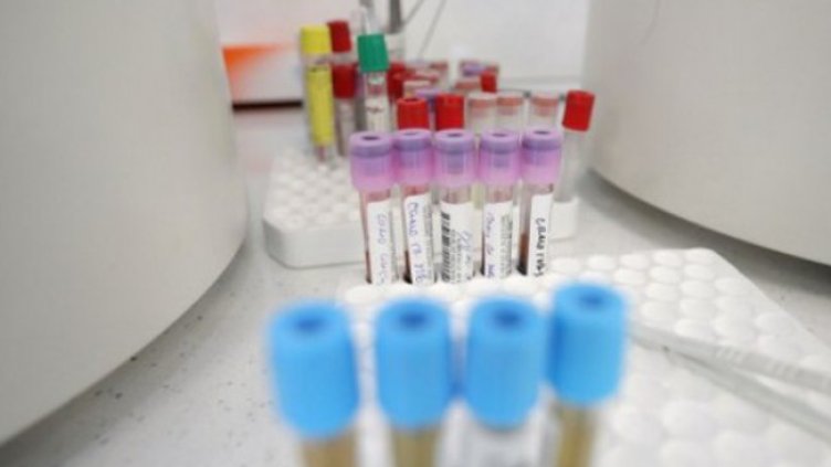 Снимка: Димитър Кьосемарлиев