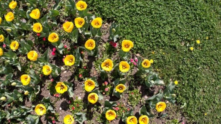 Снимка: Димитър Кьосемарлиев, Dnes.bg